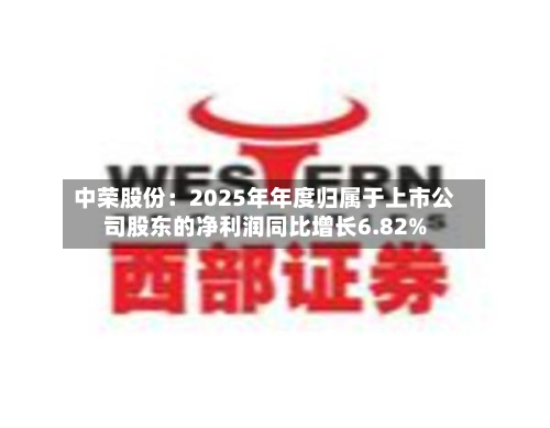 中荣股份：2025年年度归属于上市公司股东的净利润同比增长6.82%-第2张图片