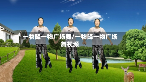 一物降一物广场舞/一物降一物广场舞视频-第3张图片