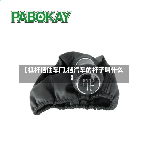 【杠杆挡住车门,挡汽车的杆子叫什么】-第2张图片