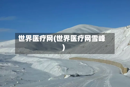 世界医疗网(世界医疗网雪峰)-第1张图片