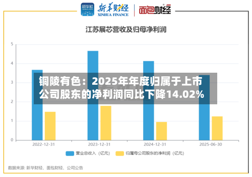 铜陵有色：2025年年度归属于上市公司股东的净利润同比下降14.02%-第3张图片