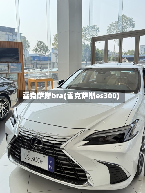 雷克萨斯bra(雷克萨斯es300)-第2张图片