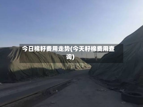 今日棉籽费用走势(今天籽棉费用查询)-第2张图片