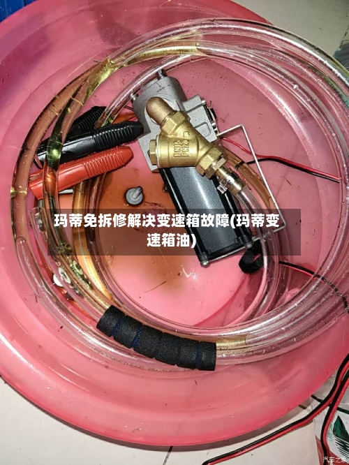 玛蒂免拆修解决变速箱故障(玛蒂变速箱油)-第2张图片