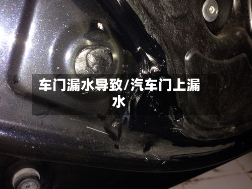 车门漏水导致/汽车门上漏水-第1张图片