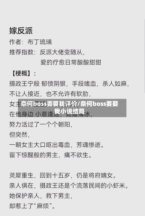 奈何boss要娶我评价/奈何boss要娶我小说结局-第3张图片