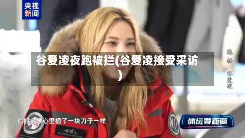 谷爱凌夜跑被拦(谷爱凌接受采访)-第3张图片