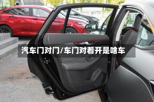汽车门对门/车门对着开是啥车-第2张图片