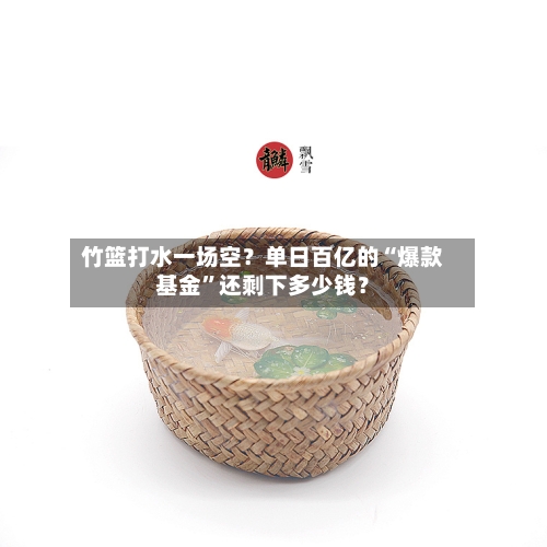 竹篮打水一场空？单日百亿的“爆款基金”还剩下多少钱？-第1张图片