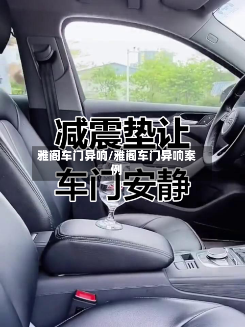 雅阁车门异响/雅阁车门异响案例-第1张图片