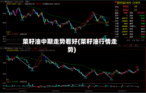 菜籽油中期走势看好(菜籽油行情走势)-第3张图片