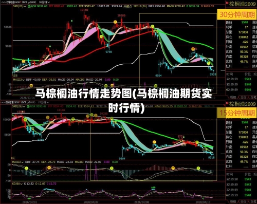 马棕榈油行情走势图(马棕榈油期货实时行情)-第2张图片