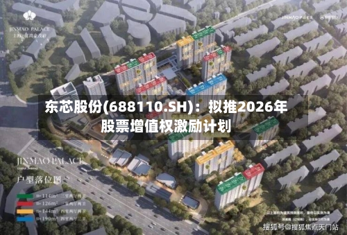 东芯股份(688110.SH)：拟推2026年股票增值权激励计划-第1张图片
