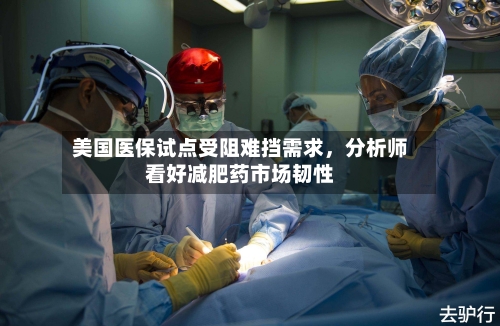 美国医保试点受阻难挡需求	，分析师看好减肥药市场韧性-第2张图片