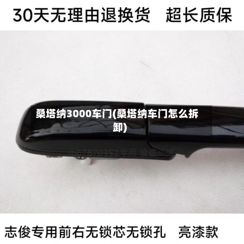 桑塔纳3000车门(桑塔纳车门怎么拆卸)-第1张图片