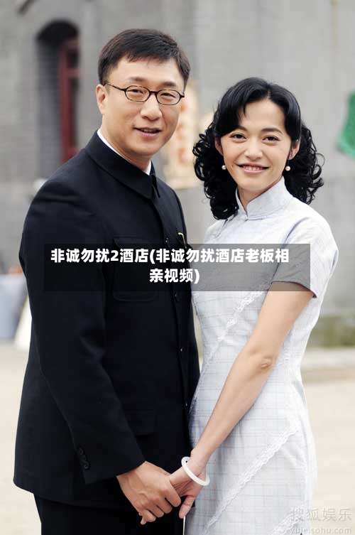 非诚勿扰2酒店(非诚勿扰酒店老板相亲视频)-第3张图片