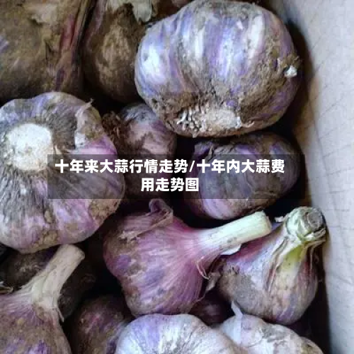 十年来大蒜行情走势/十年内大蒜费用走势图-第1张图片