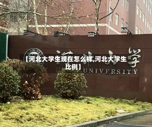 【河北大学生现在怎么样,河北大学生比例】-第3张图片