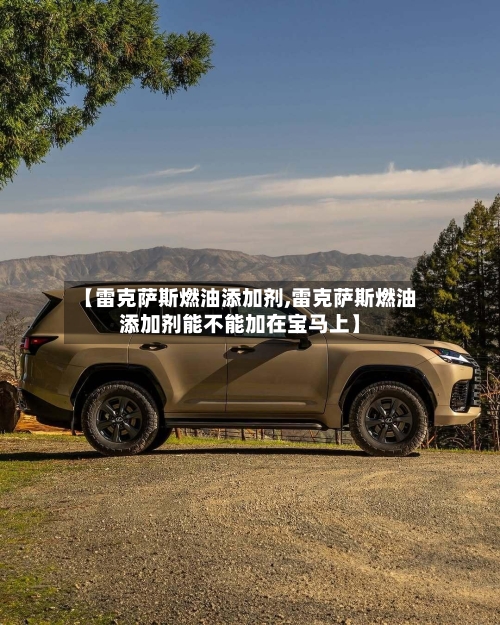 【雷克萨斯燃油添加剂,雷克萨斯燃油添加剂能不能加在宝马上】-第2张图片