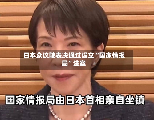 日本众议院表决通过设立“国家情报局	”法案-第1张图片