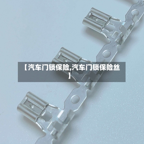 【汽车门锁保险,汽车门锁保险丝】-第1张图片