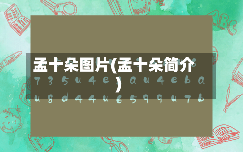 孟十朵图片(孟十朵简介)-第2张图片