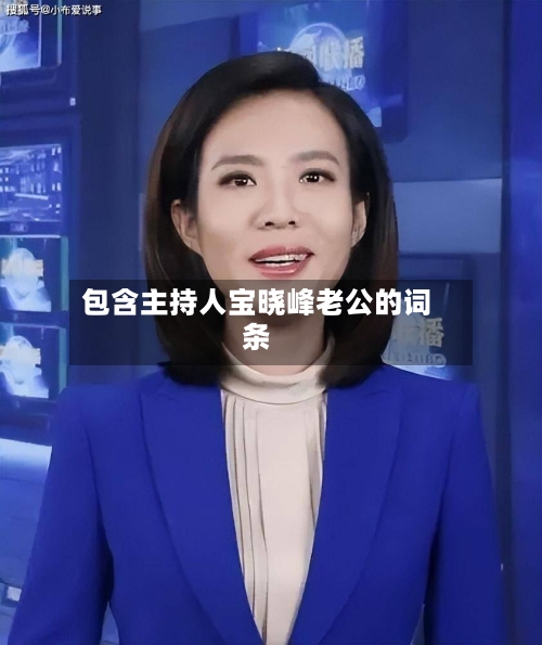 包含主持人宝晓峰老公的词条-第3张图片