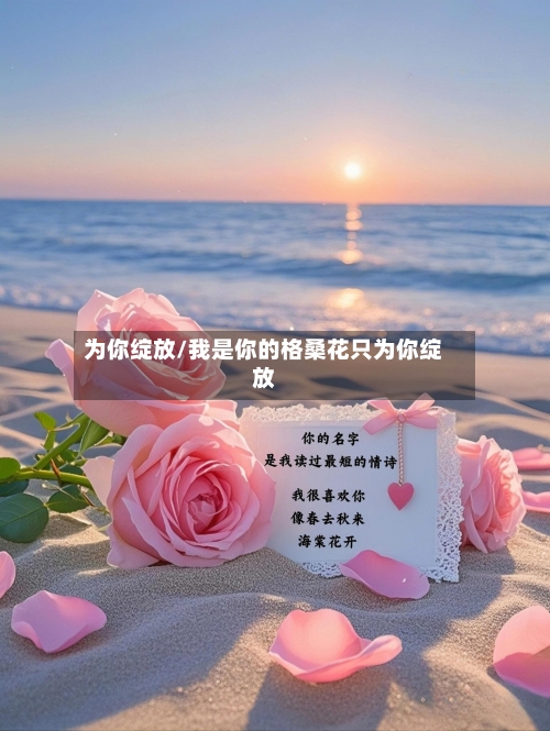 为你绽放/我是你的格桑花只为你绽放-第1张图片