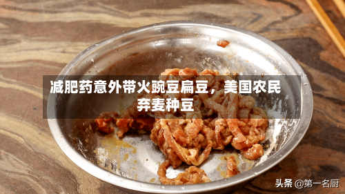 减肥药意外带火豌豆扁豆，美国农民弃麦种豆-第1张图片