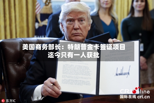 美国商务部长：特朗普金卡签证项目迄今只有一人获批-第2张图片