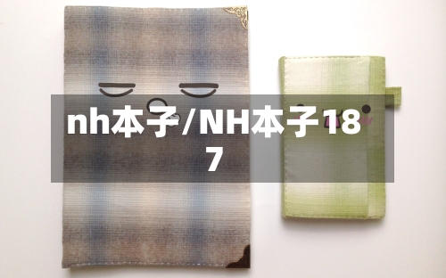 nh本子/NH本子187-第1张图片