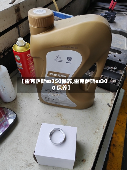 【雷克萨斯es350保养,雷克萨斯es300 保养】-第1张图片