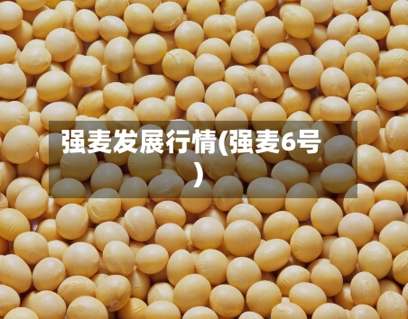 强麦发展行情(强麦6号)-第3张图片