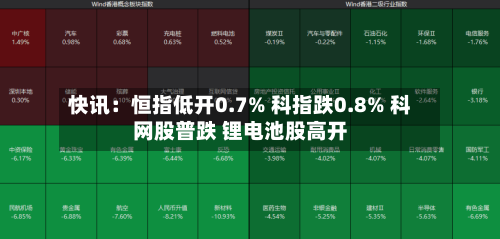 快讯：恒指低开0.7% 科指跌0.8% 科网股普跌 锂电池股高开-第2张图片