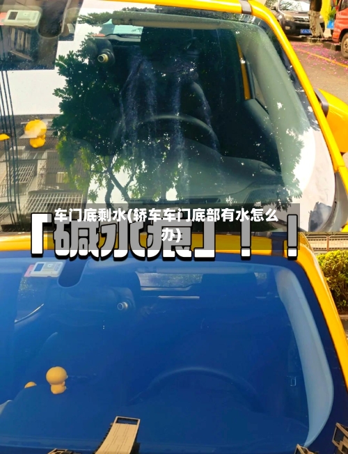 车门底剩水(轿车车门底部有水怎么办)-第2张图片