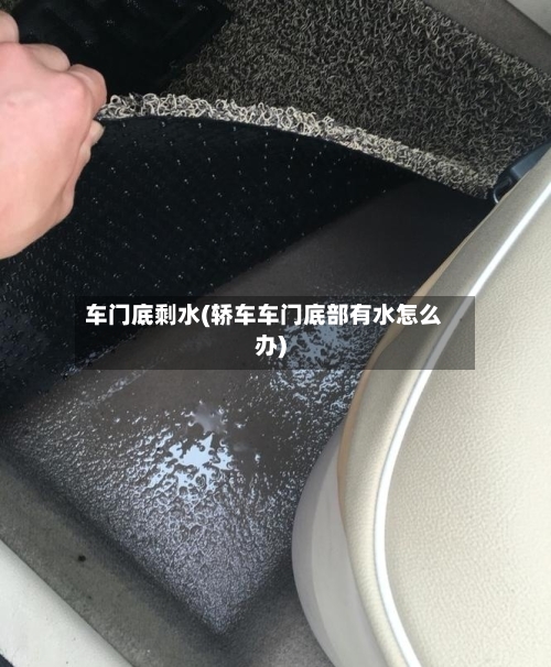 车门底剩水(轿车车门底部有水怎么办)-第1张图片