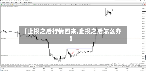 【止损之后行情回来,止损之后怎么办】-第2张图片