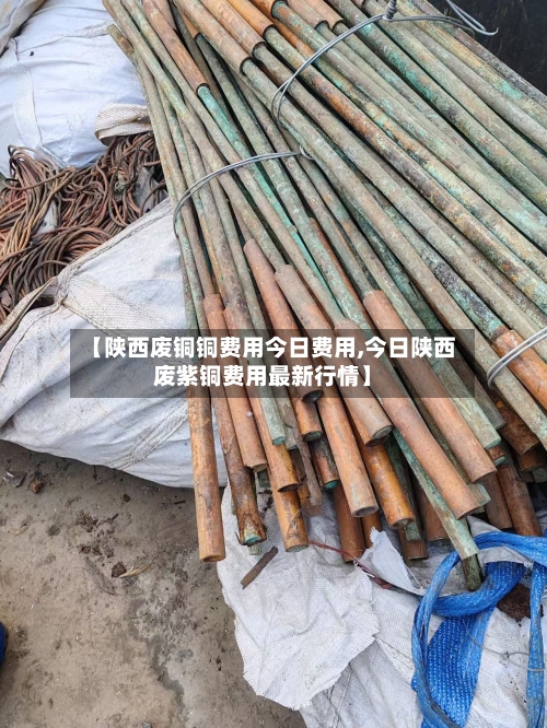 【陕西废铜铜费用今日费用,今日陕西废紫铜费用最新行情】-第3张图片