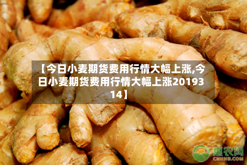 【今日小麦期货费用行情大幅上涨,今日小麦期货费用行情大幅上涨2019314】-第3张图片