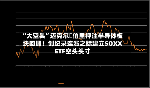 “大空头	”迈克尔・伯里押注半导体板块回调！创纪录连涨之际建立SOXX ETF空头头寸-第2张图片