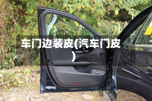 车门边装皮(汽车门皮)-第2张图片