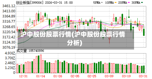 沪中股份股票行情(沪中股份股票行情分析)-第1张图片