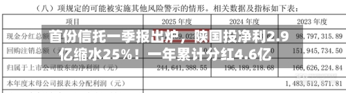 首份信托一季报出炉，陕国投净利2.9亿缩水25%！一年累计分红4.6亿-第2张图片