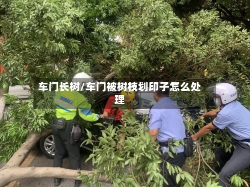 车门长树/车门被树枝划印子怎么处理-第2张图片