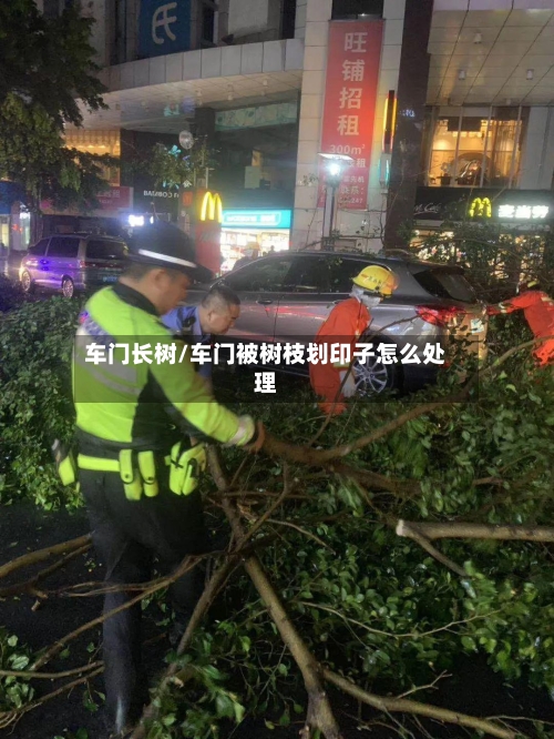 车门长树/车门被树枝划印子怎么处理-第1张图片