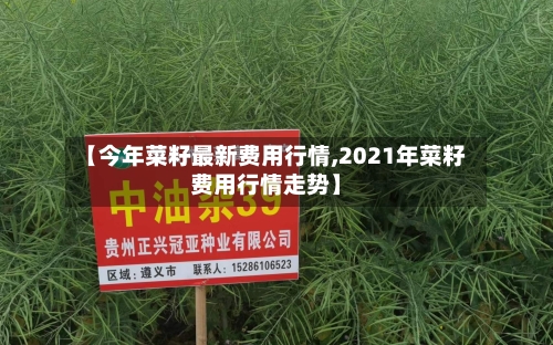 【今年菜籽最新费用行情,2021年菜籽费用行情走势】-第2张图片