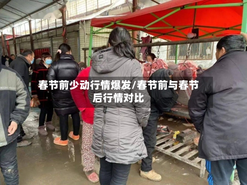 春节前少动行情爆发/春节前与春节后行情对比-第3张图片