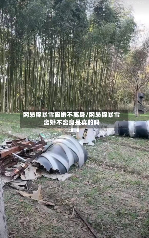 网易称暴雪离婚不离身/网易称暴雪离婚不离身是真的吗-第3张图片
