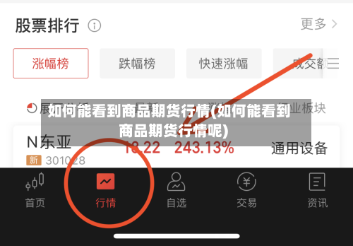 如何能看到商品期货行情(如何能看到商品期货行情呢)-第1张图片