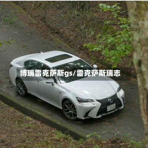 博瑞雷克萨斯gs/雷克萨斯瑞志-第1张图片